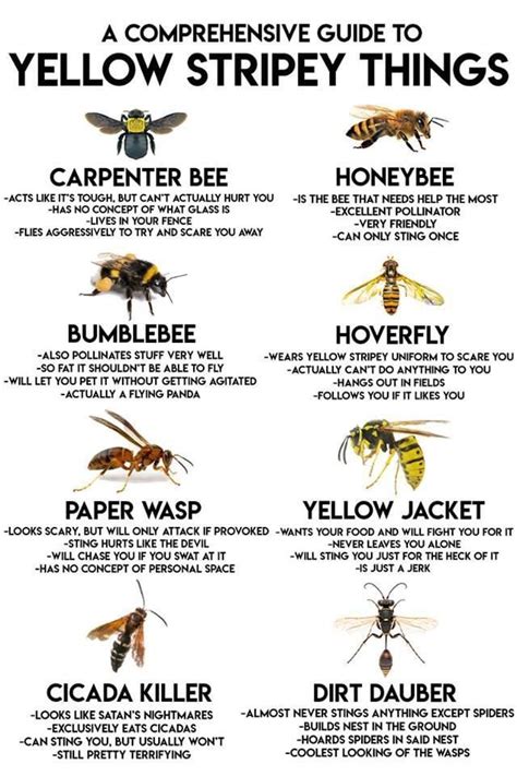 Do bees not like music?
