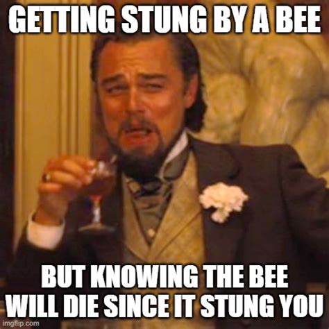 Do bees try to get revenge?