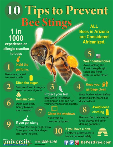 Do bees warn you?