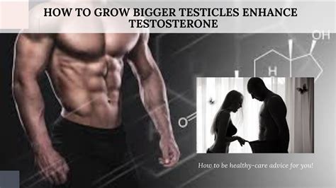 Do bigger balls mean bigger testosterone?