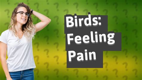 Do birds feel pain?