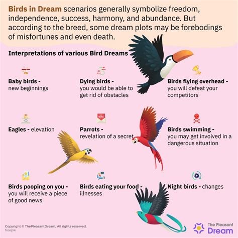 Do birds have bad dreams?