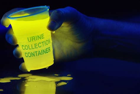 Do black lights show urine?