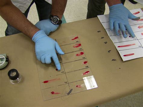 Do blood stains fade over time?