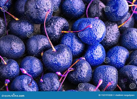 Do blue cherries exist?