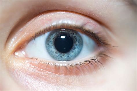 Do blue eyes have bigger pupils?