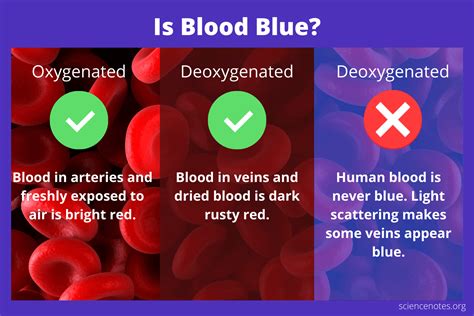 Do blue veins mean less oxygen?