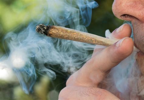 Do blunts or joints smell worse?