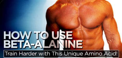 Do bodybuilders use beta-alanine?