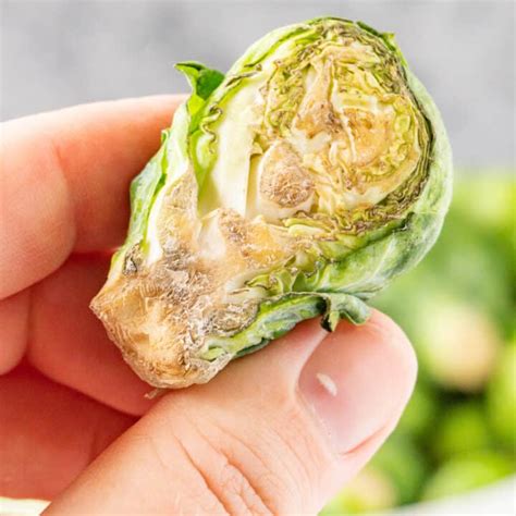 Do brussel sprouts go bad after cutting?