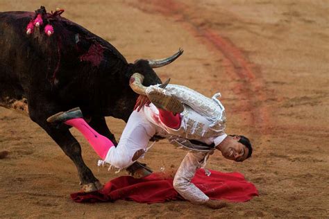 Do bulls cry in bullfighting?