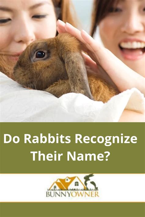 Do bunnies know their names?