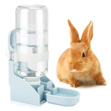 Do bunnies like water bottles or bowls?