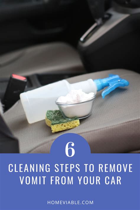 Do car detailers clean vomit?