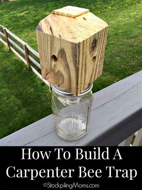 Do carpenter bee traps work?