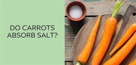 Do carrots absorb salt?