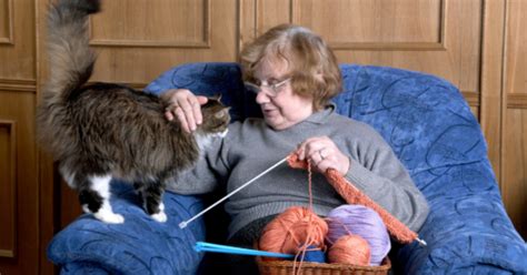 Do cat owners live longer?