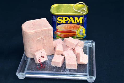 Do catfish like spam?