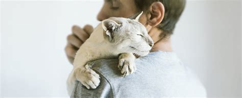Do cats bond with owners like dogs?