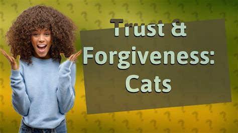 Do cats forgive easily?