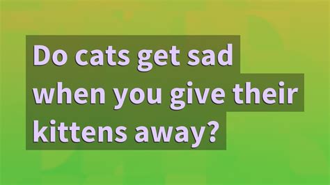 Do cats get sad when you take their kittens away?