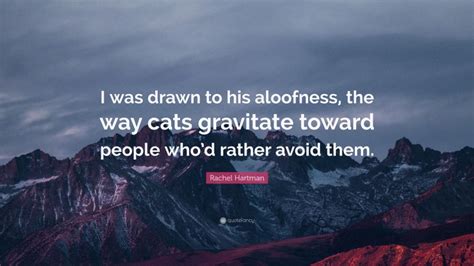 Do cats gravitate towards good people?