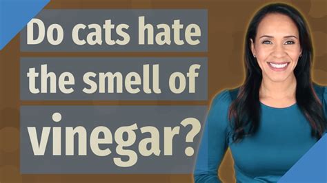 Do cats hate the smell of apple cider vinegar?