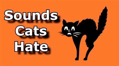Do cats hate ultrasonic sounds?