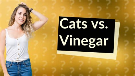 Do cats hate vinegar?
