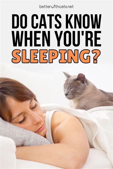 Do cats know when you're asleep?