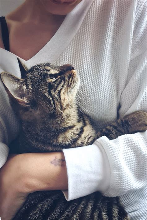Do cats know when you are sad?