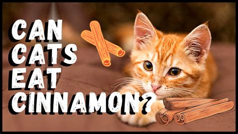 Do cats like the smell of cinnamon?