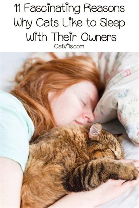 Do cats like to watch you sleep?