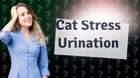 Do cats pee on floor when stressed?