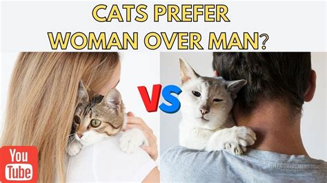 Do cats prefer female humans?