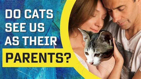 Do cats see us as parents?