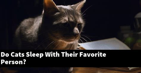 Do cats sleep with their favorite person?