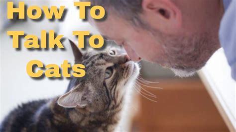 Do cats try to speak like humans?