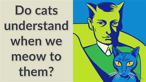 Do cats understand when we meow?