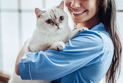 Do cats understand when you smile at them?