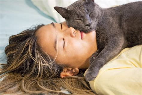 Do cats want to sleep with you?