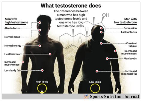 Do cheaters have higher testosterone?