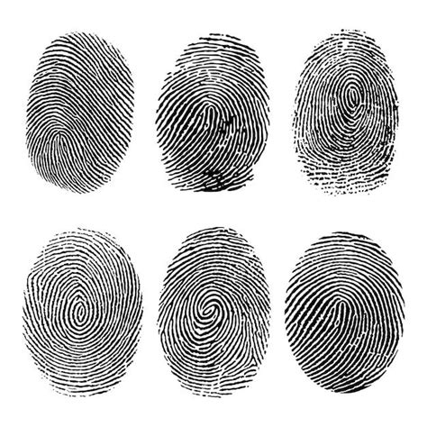 Do clones have same fingerprints?
