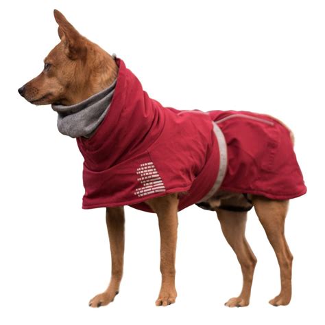 Do clothes make dogs warmer?