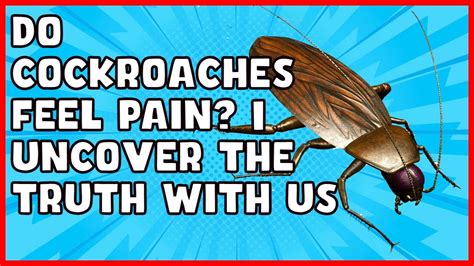 Do cockroaches feel pain when crushed?