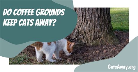 Do coffee grounds keep cats away?