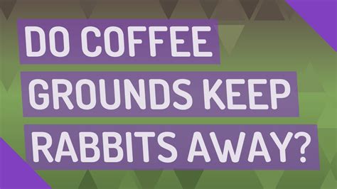 Do coffee grounds keep rabbits away?