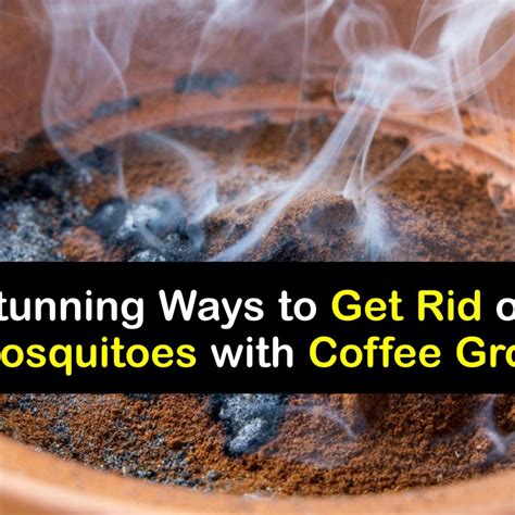 Do coffee grounds repel dogs?