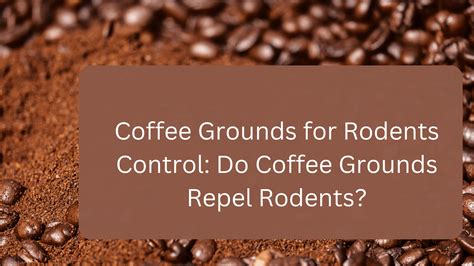 Do coffee grounds repel rodents?