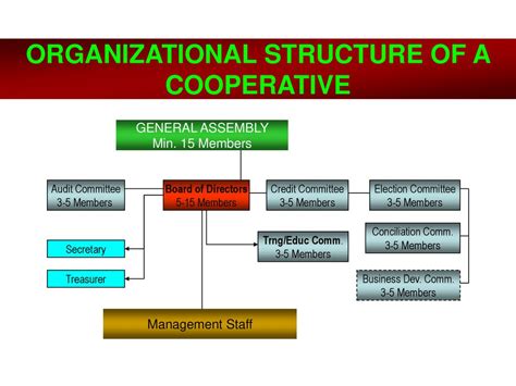Do cooperatives have hierarchy?